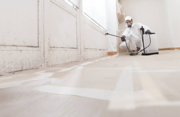 24/7 Emergency Attic Mold Remediation experts in Winter Park, FL